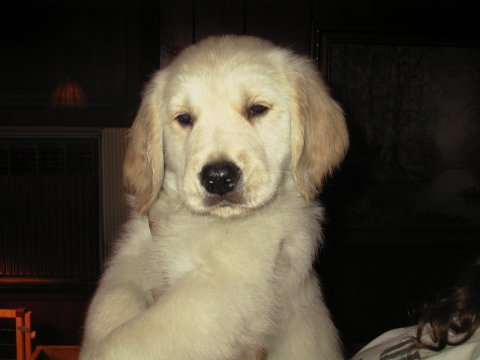 Yes, I am Sooooo cute