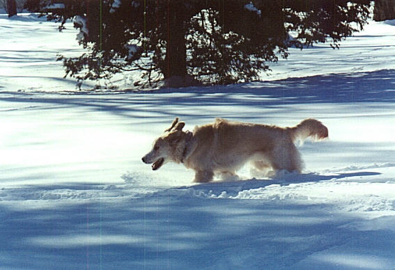 I LOOOOOVVVVEEEE the snow!