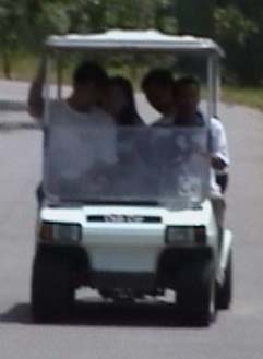 buggy f1