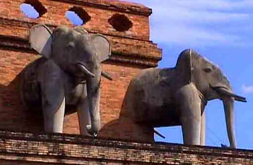 iconic elephants & buddha statues .they're everywhere here