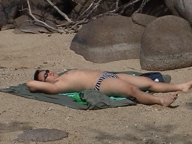 beached whale sighted