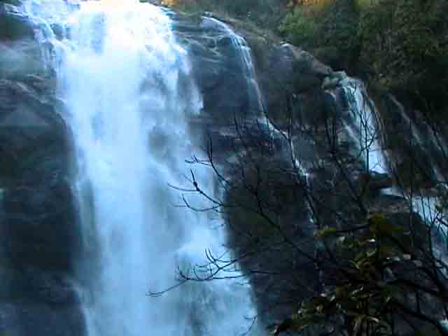 mae klang falls; joyce with 'walls'
