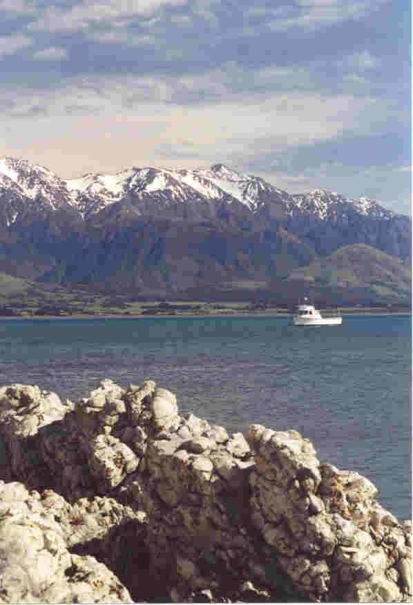 kaikoura tourism info