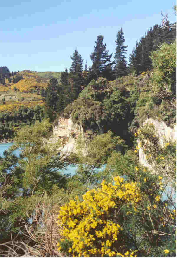 more info on the South Island