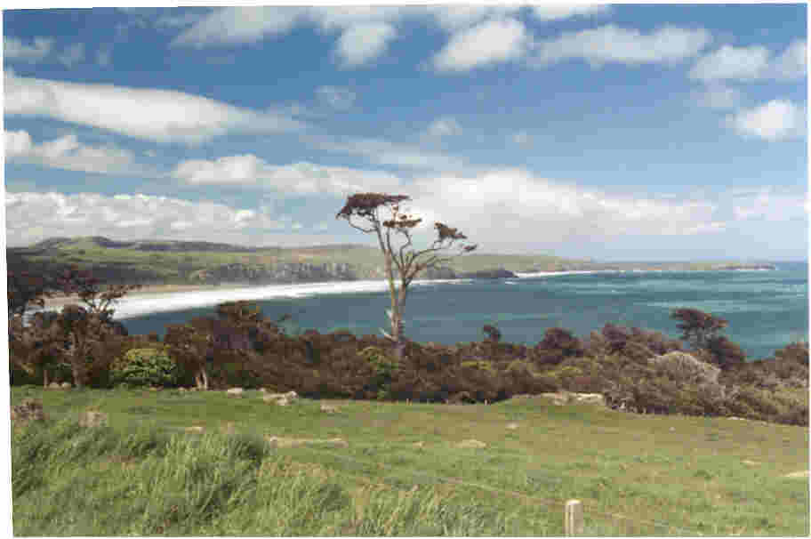 link to more info on The Catlins