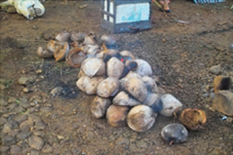 They used coconut shells to make the coal fire they needed!