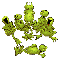 Frogs laughing!