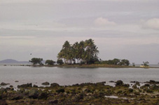 The little island!