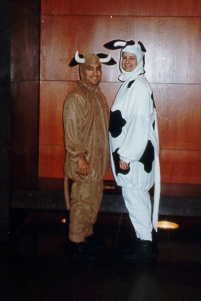 cows2.jpg (52609 bytes)