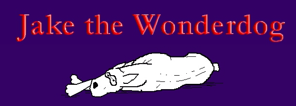 Jake the Wonderdog and METAMAN!  Adult oriented cartoons.
