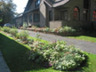 Rose & perennial flower garden 
