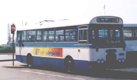 J 33617