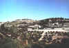 mountolives.jpg (45424 bytes)
