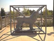Title: LION NUMBER 63 Artist: Yonatan Shiloni