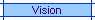 Vision