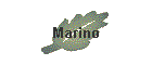 Marino