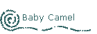 Baby Camel