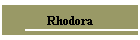 Rhodora