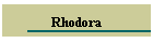 Rhodora