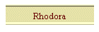 Rhodora