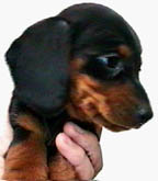 Click here to see me at my new home!