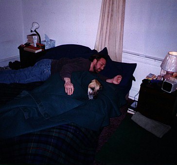 Note the unused dog bed on the floor