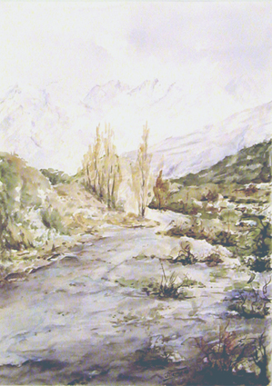 Camino nevado