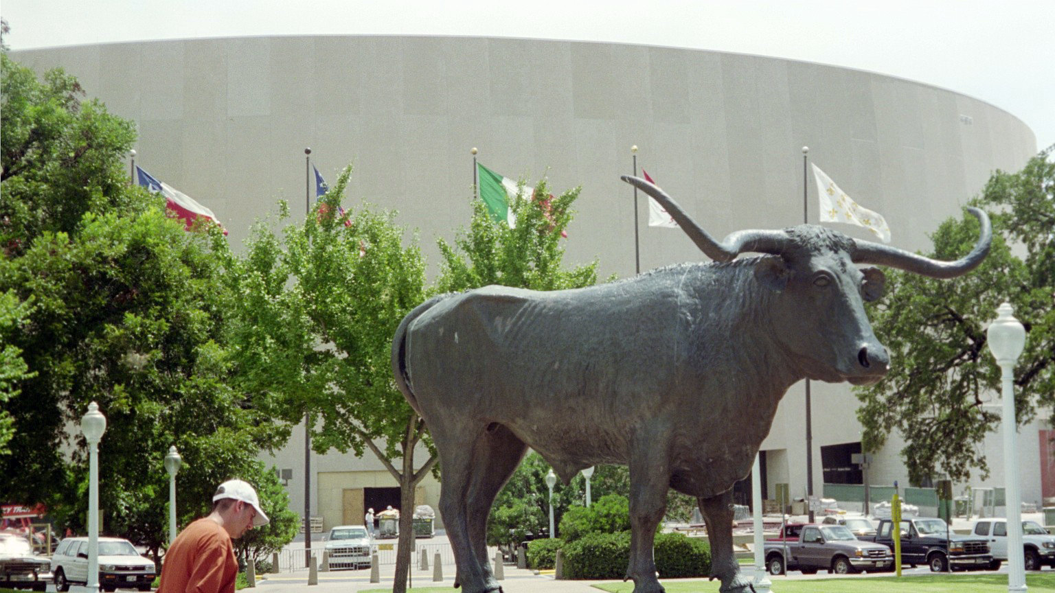 Longhorns 