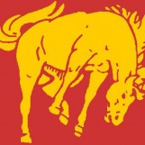 broncos