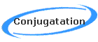 Conjugatation