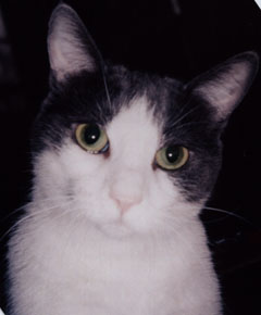 Look in to my eyes...