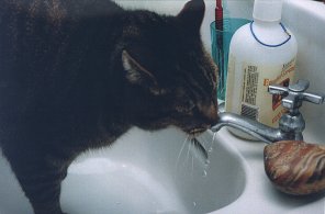 Yum!