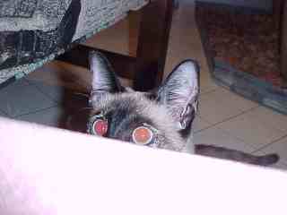 Stalking grandma