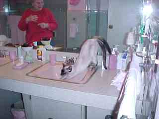 Can you see Grandma?