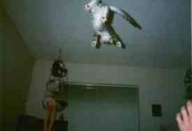 I'm flying, I'm flying!