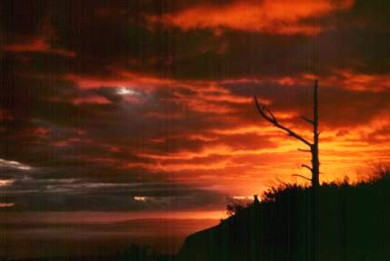 The sky's on fire