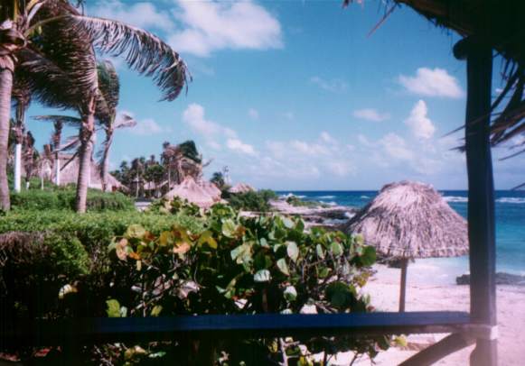 Paradise perhaps?