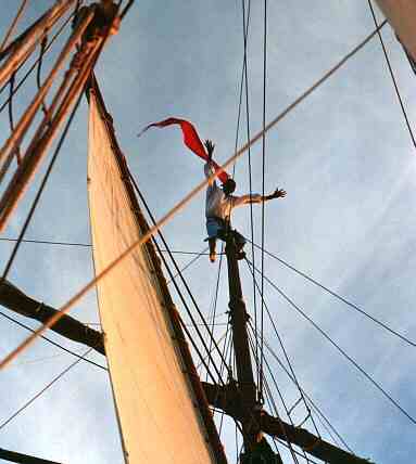 Avast ye maties!