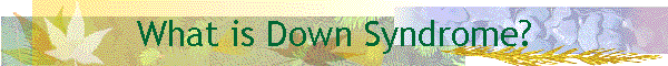 What is Down Syndrome?