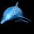 Dolphins who died in zoo