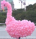 Parade11-Swan
