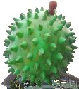 Parade31-Durian