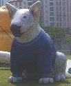 Parade34-SmallDog
