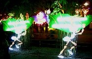 L-CG01-Ants