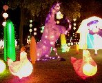 L-CG05-Donkey