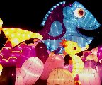 L-CG06-Dory