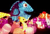 L-CG07-Dory