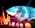 L-CG26-Shark