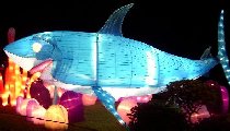 L-CG27-Shark