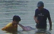 PalawanBeach4-Dolphin